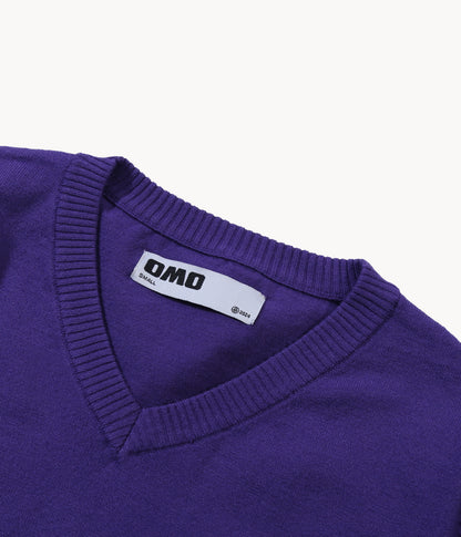 Knit V-Neck Sweater in Purple
