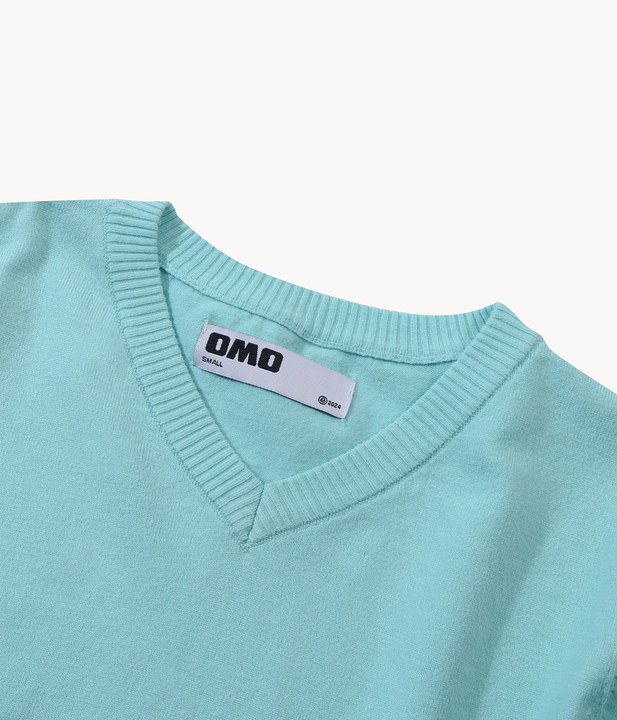 Knit V-Neck Sweater in Mint
