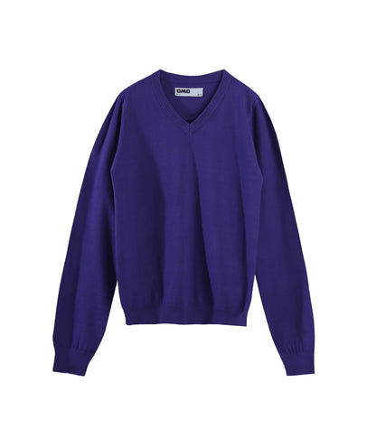 Knit V-Neck Sweater in Purple