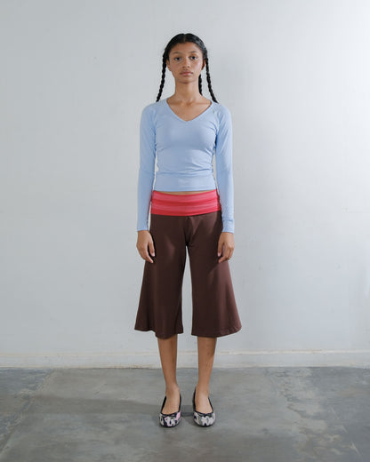 V-Neck Long Sleeve Top in Baby Blue